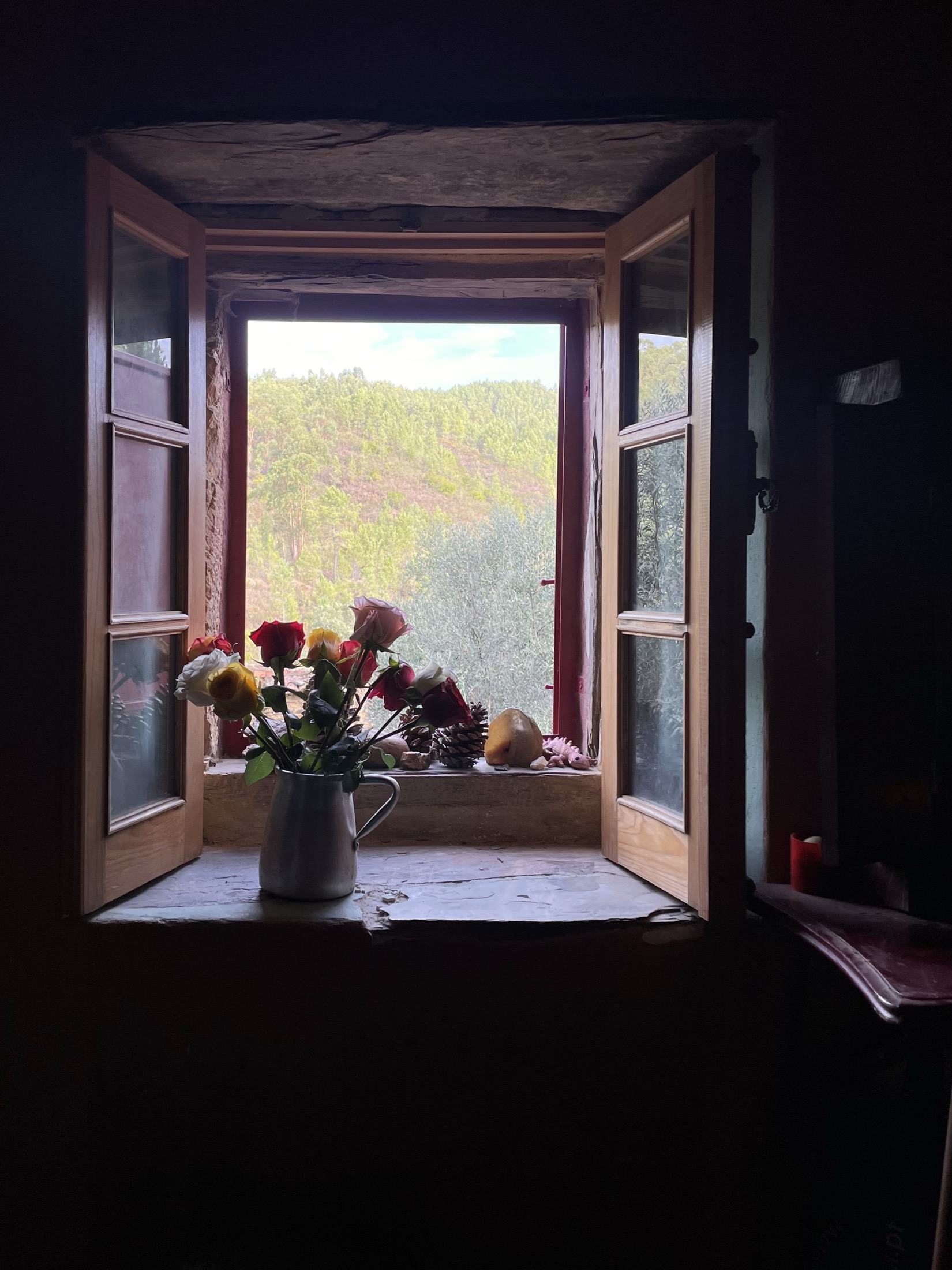 Flowers in an open window looking out over the valley